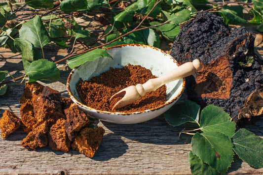 Chaga Mushroom Powder