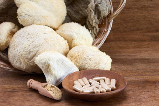 lion's mane mushroom capsules