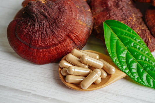 Reishi Mushroom Benefits