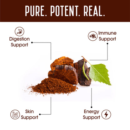 Pure | Potent | Real Chaga Mushroom Capsules | Digestion Support | Energy Support