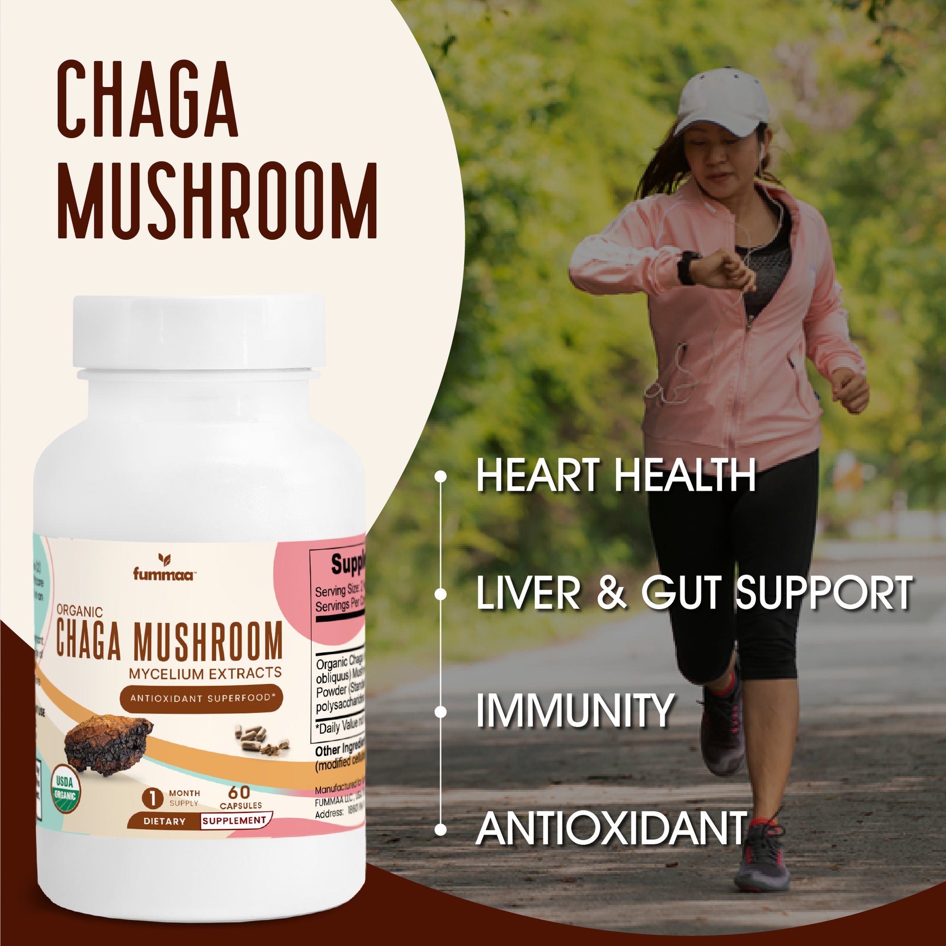 benefits of chaga mushroom to improve skin health | immunity | gut health