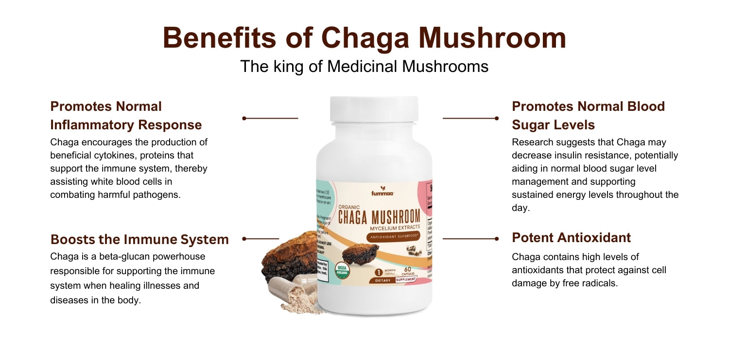 Benefits of Chaga Mushroom Capsules | Fummaa™