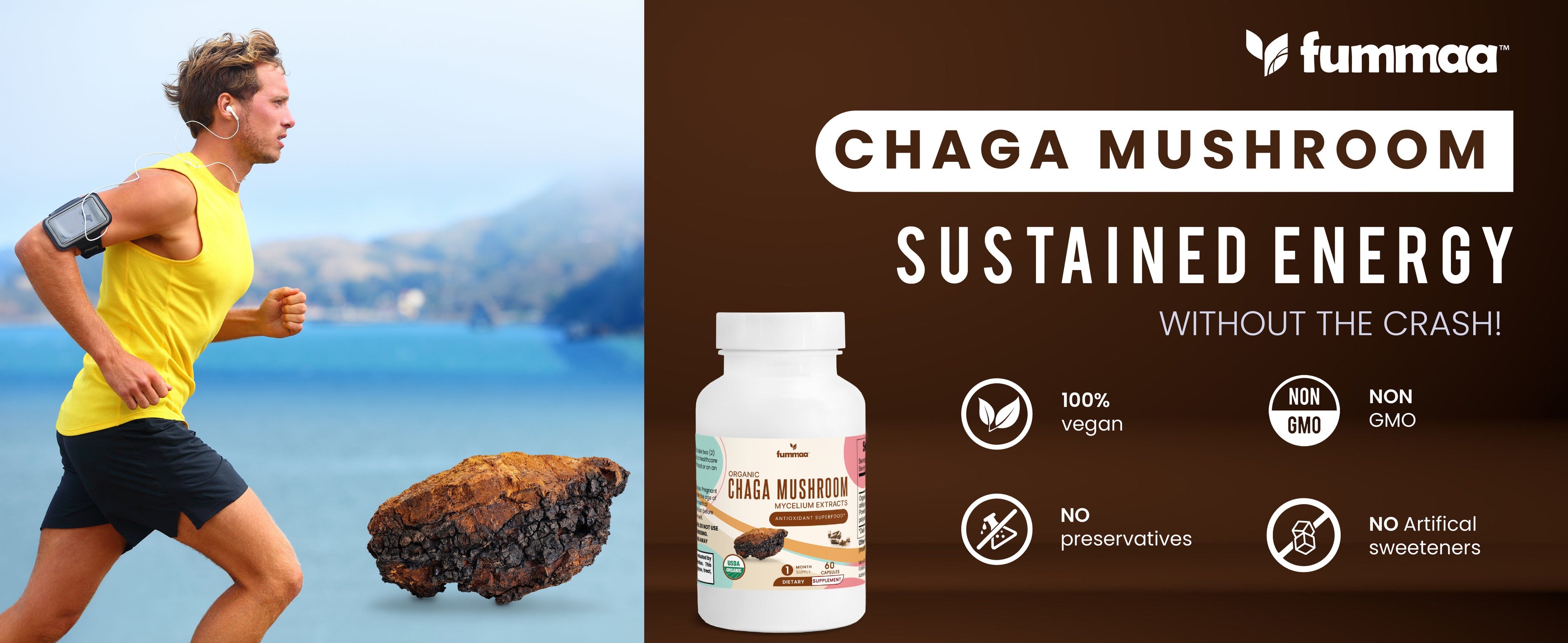 chaga mushroom extract capsules sustainable energy