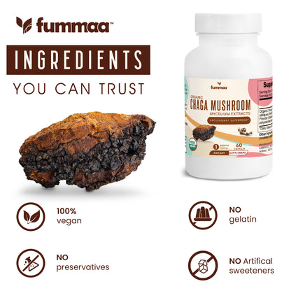 Features of Chaga Mushroom Capsules