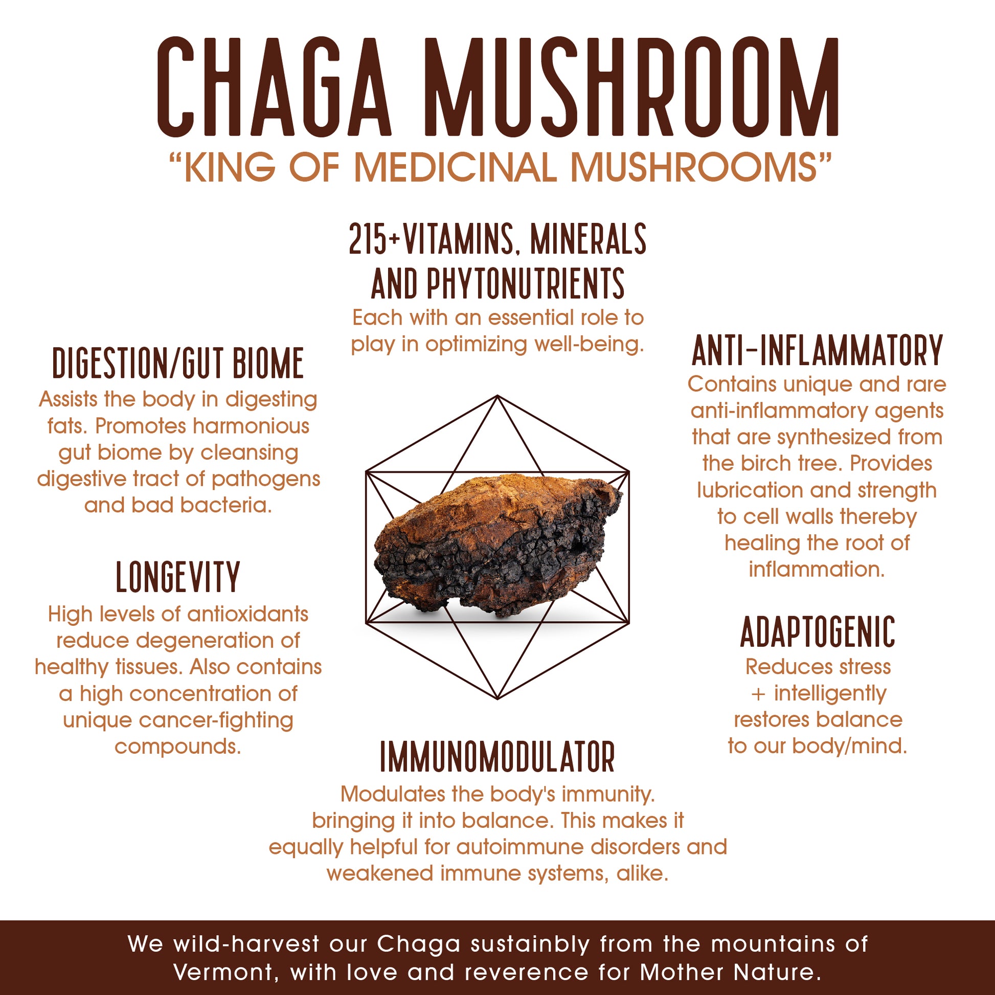 King of Medicinal Mushrooms, Chaga Mushroom