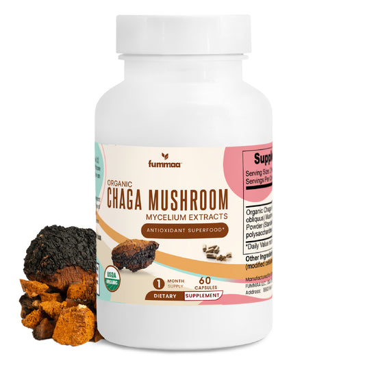 Chaga Mushroom