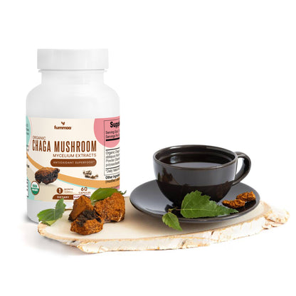 Organic Chaga Mushroom Extract Tea | Mycellium Extract | Antioxidant Superfood