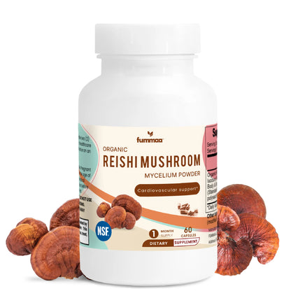 Reishi Mushroom