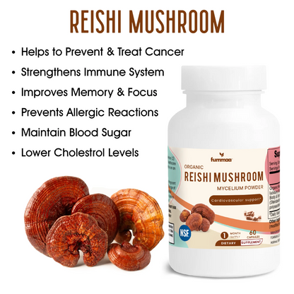 Reishi Mushroom