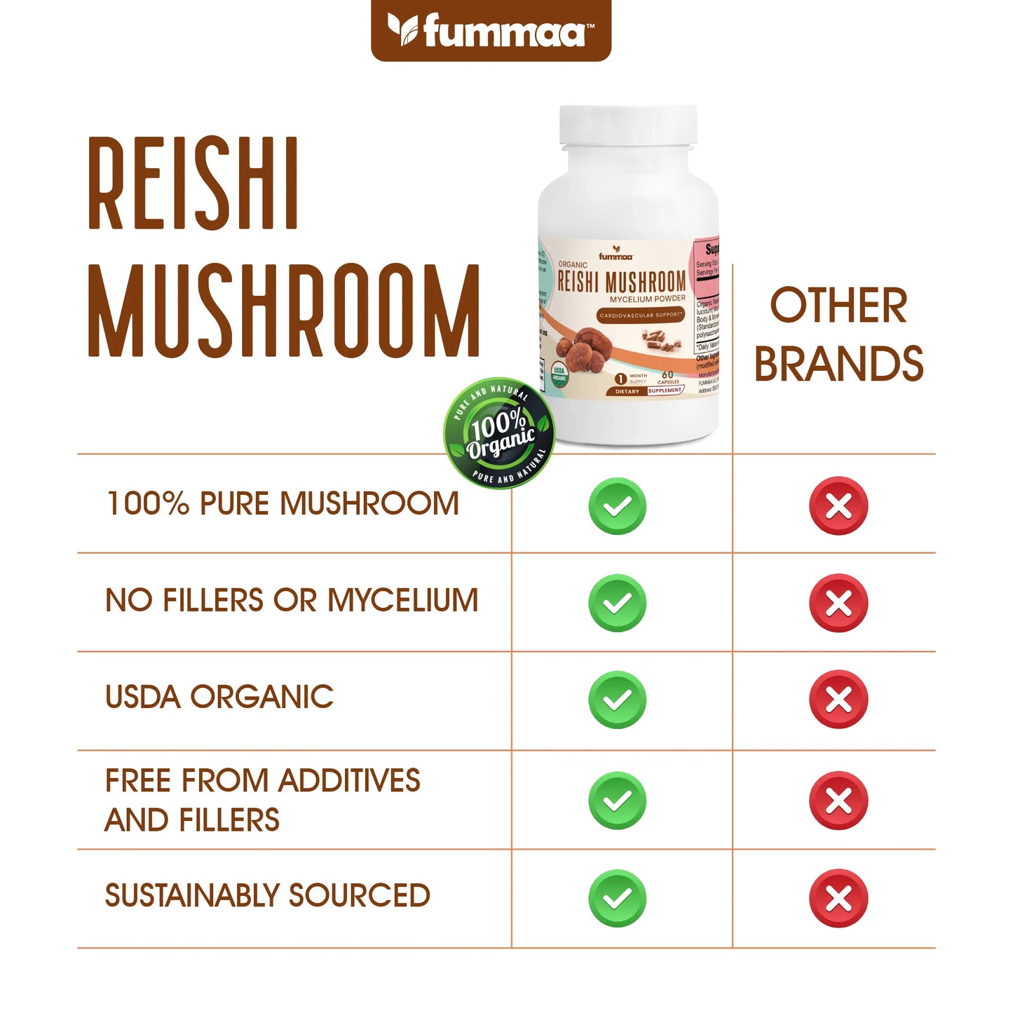 Reishi Mushroom