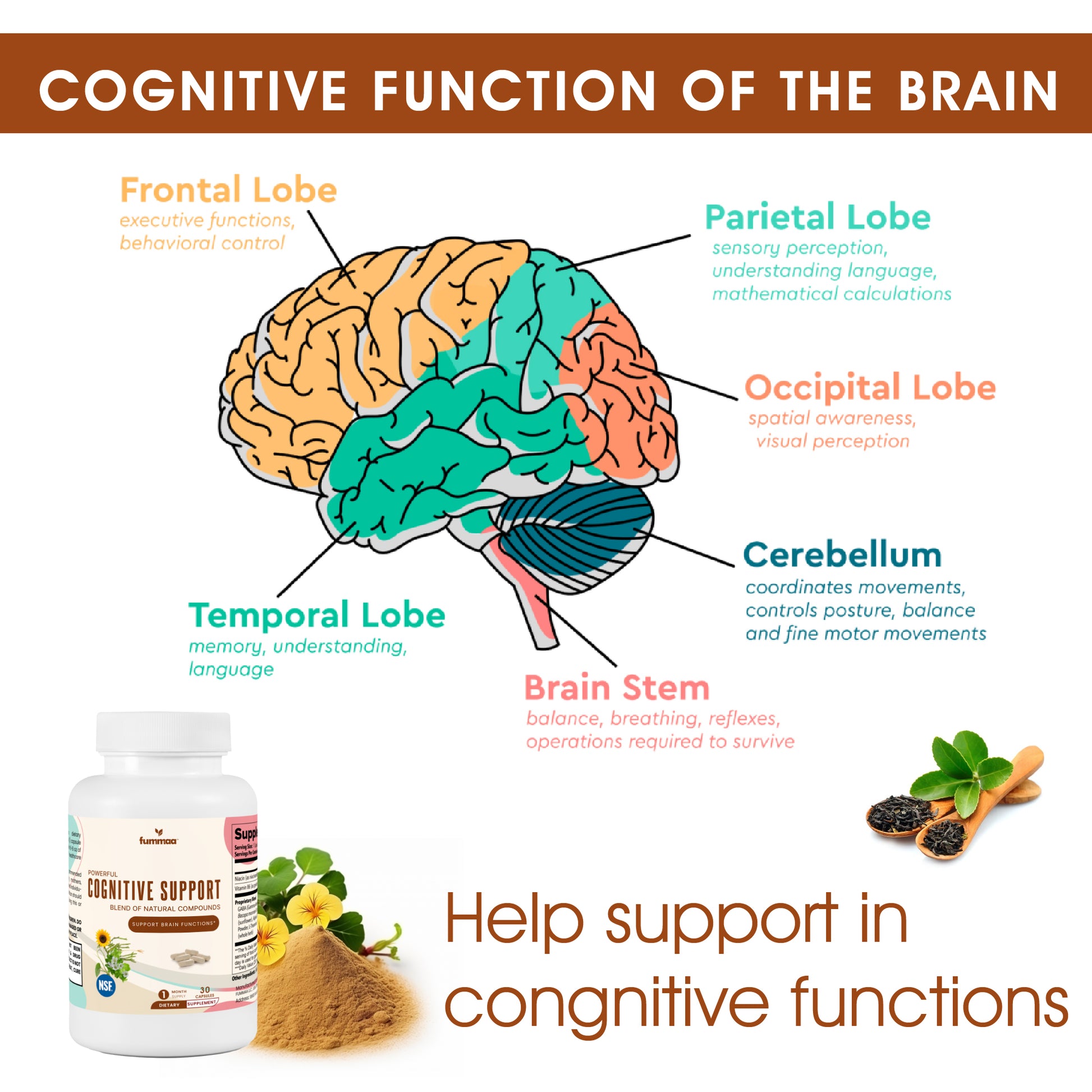 congitive support supplement help support in congitive functions | Fummaa™