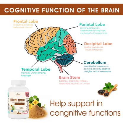 congitive support supplement help support in congitive functions | Fummaa™